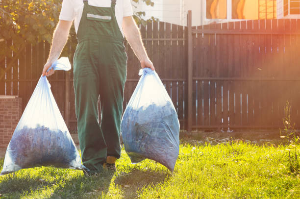 Best Shed Removal  in Villa Rica, GA